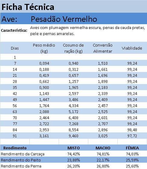 ficha-pesadao