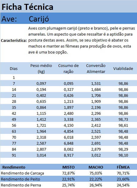 ficha_carijo